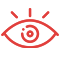 vision